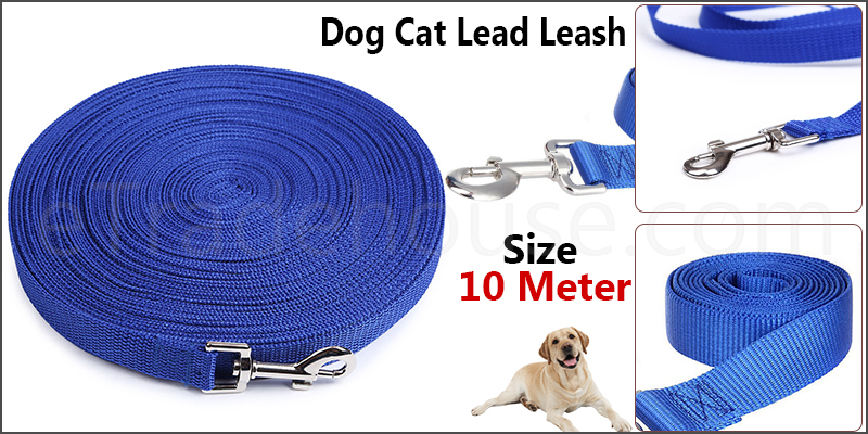 Dog Cat Lead Leash Training Long Line Recall Walking Obedience Hunting