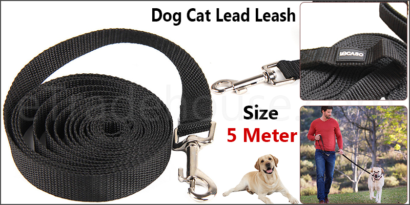 Dog Cat Lead Leash Training Long Line Recall Walking Obedience Hunting
