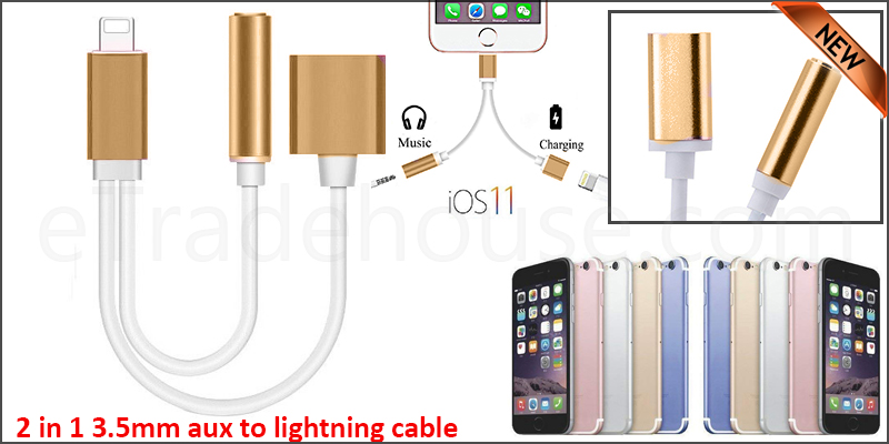 2 in 1 3.5mm Audio Aux Lightning Charge USB Port Cable for iPhone 5, 6, 7, 8 & iPhone X
