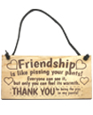 Friendship Sign Best Friend Plaque Gift Shabby Chic Heart & Thank You - READ ME
